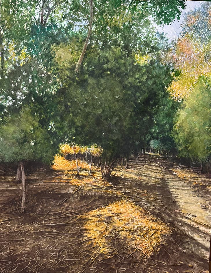 Obra en Espacio 36