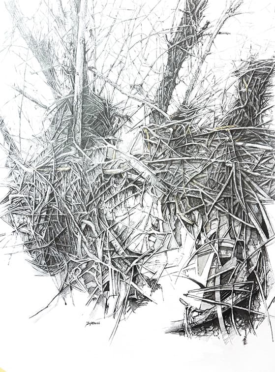 Obra en Espacio 36