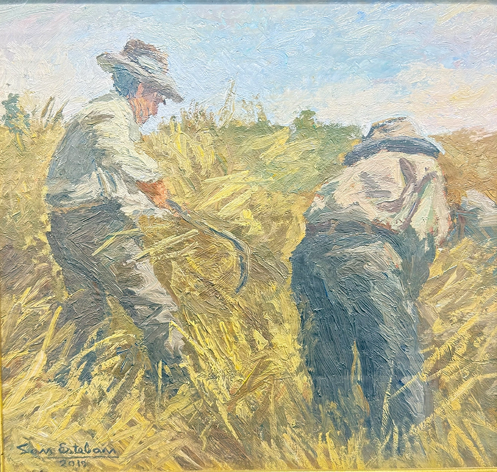 Piezas seleccionadas